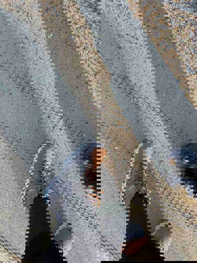2528764