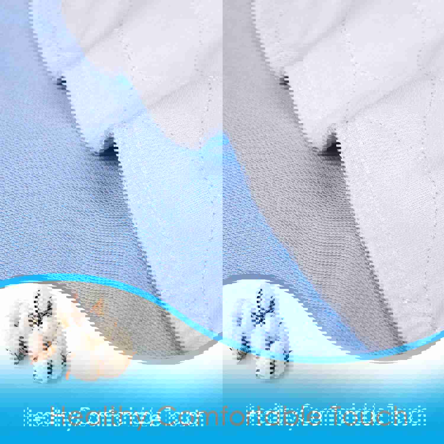 2528174