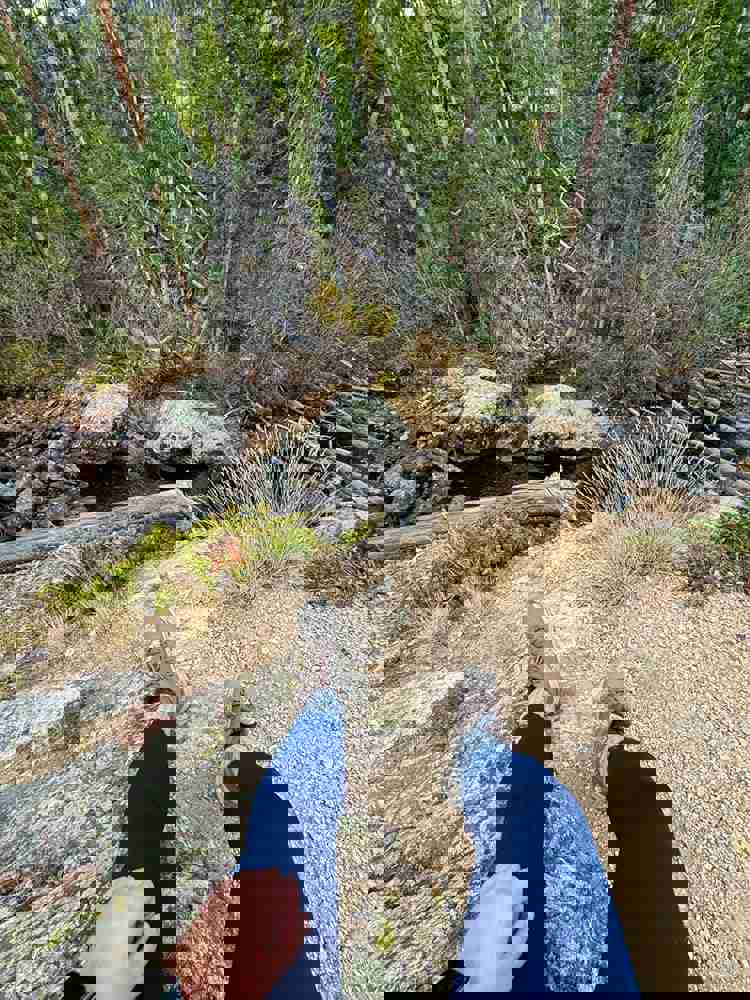 2528771
