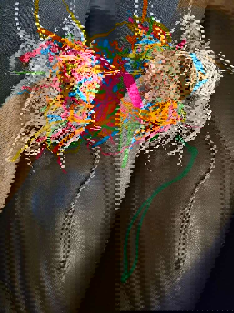 2529769