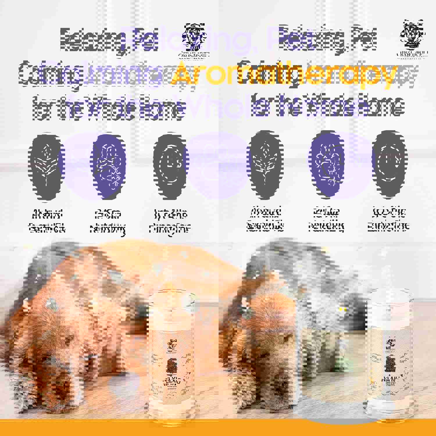 2529772