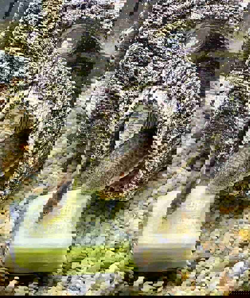 2530215