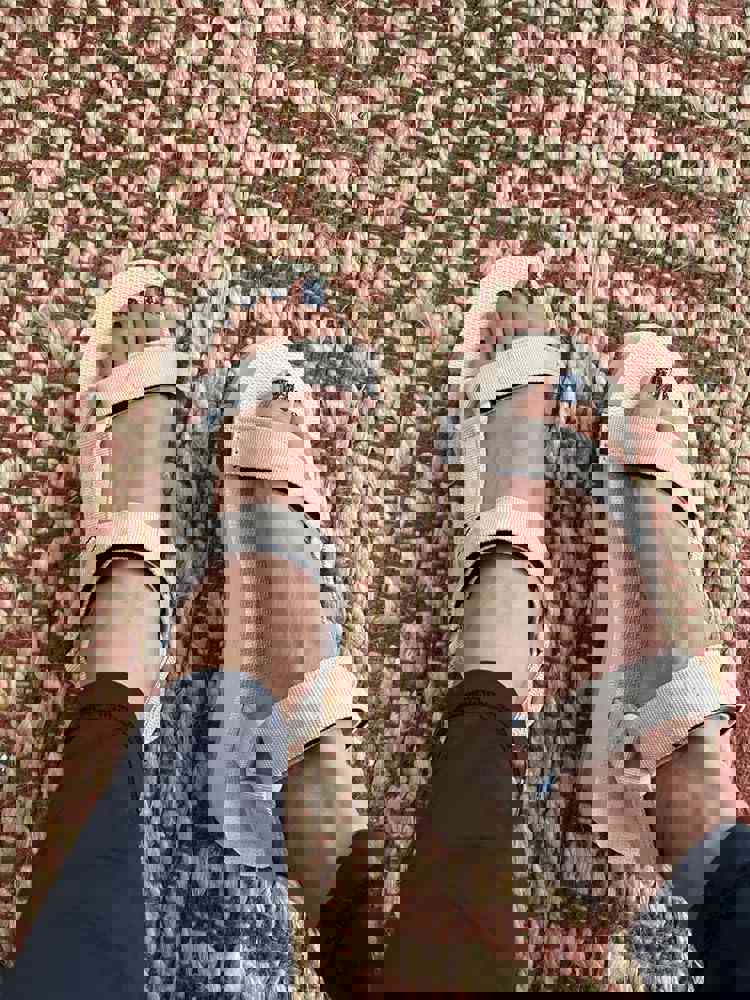 2530061