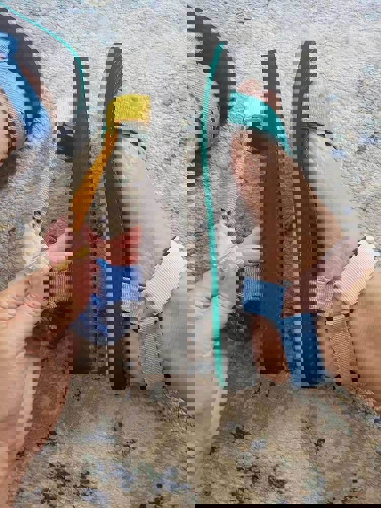 2530059