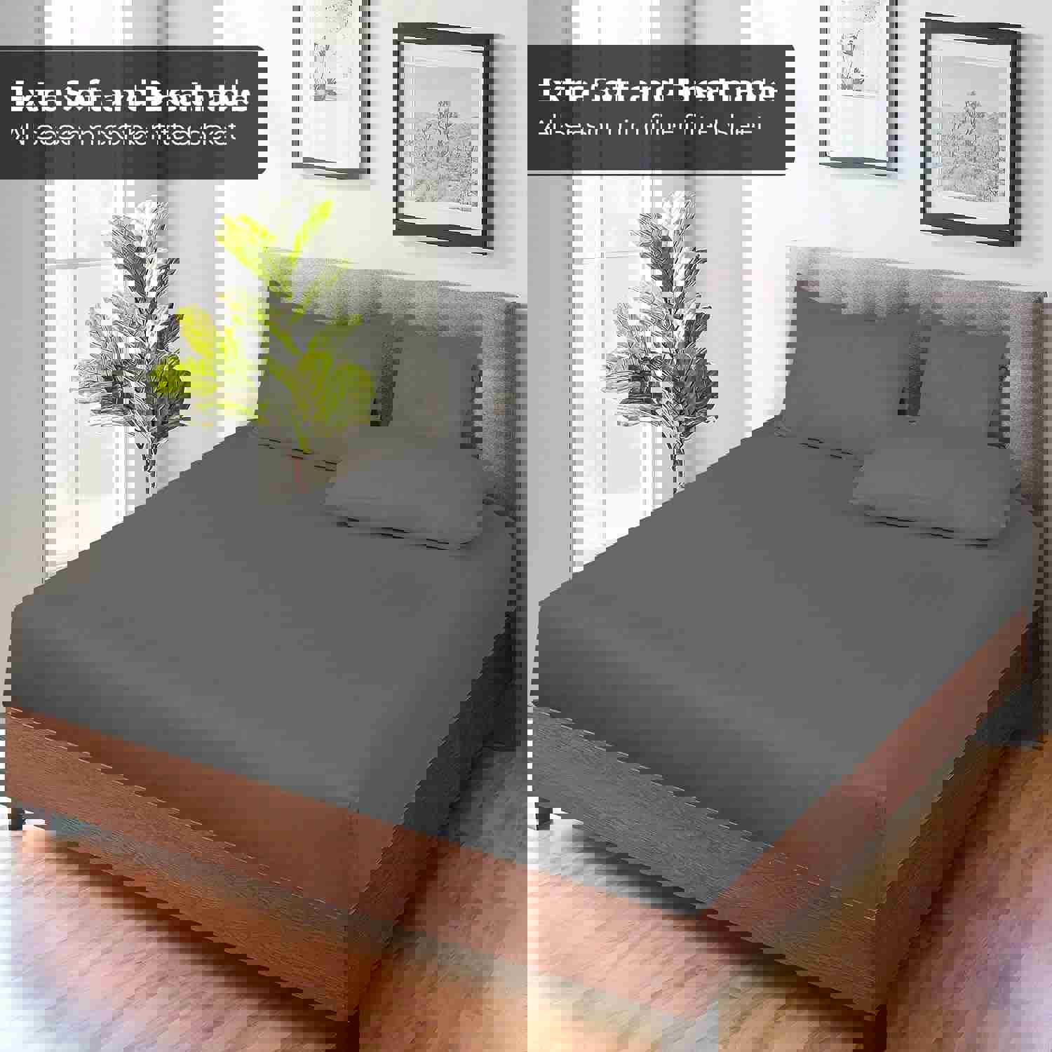 2531394