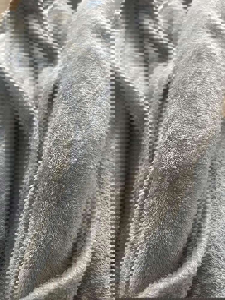 2531100