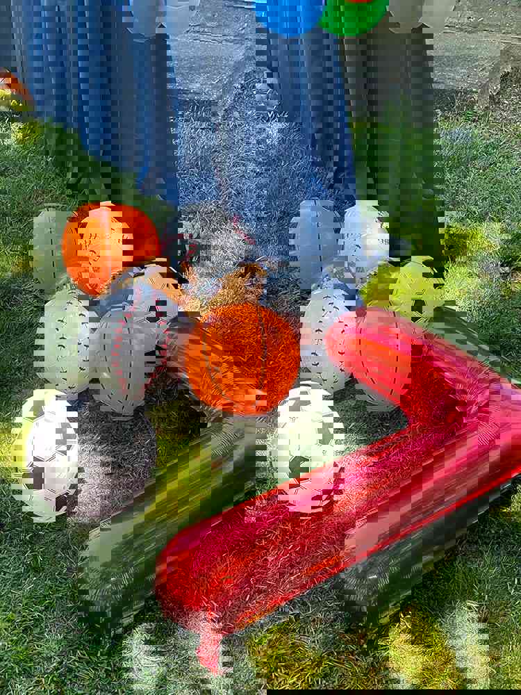 2863716