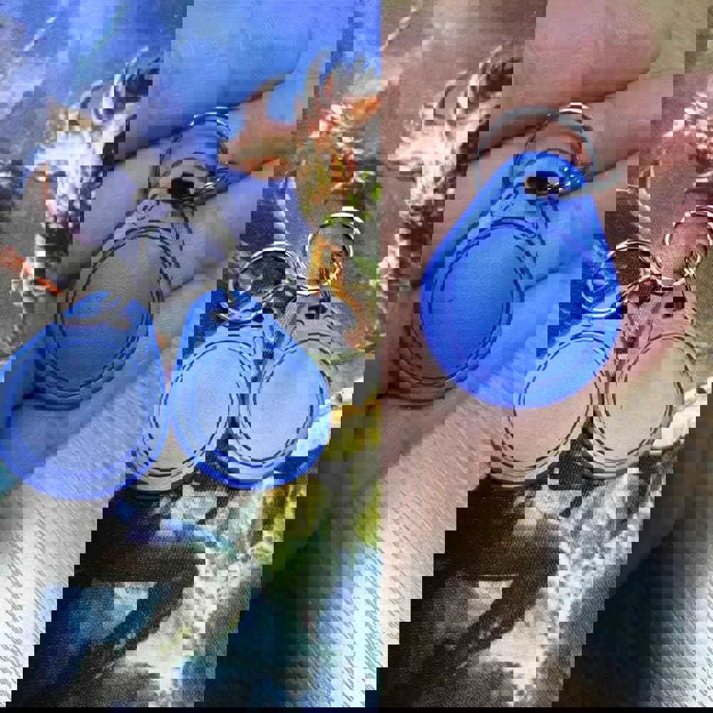 2864809
