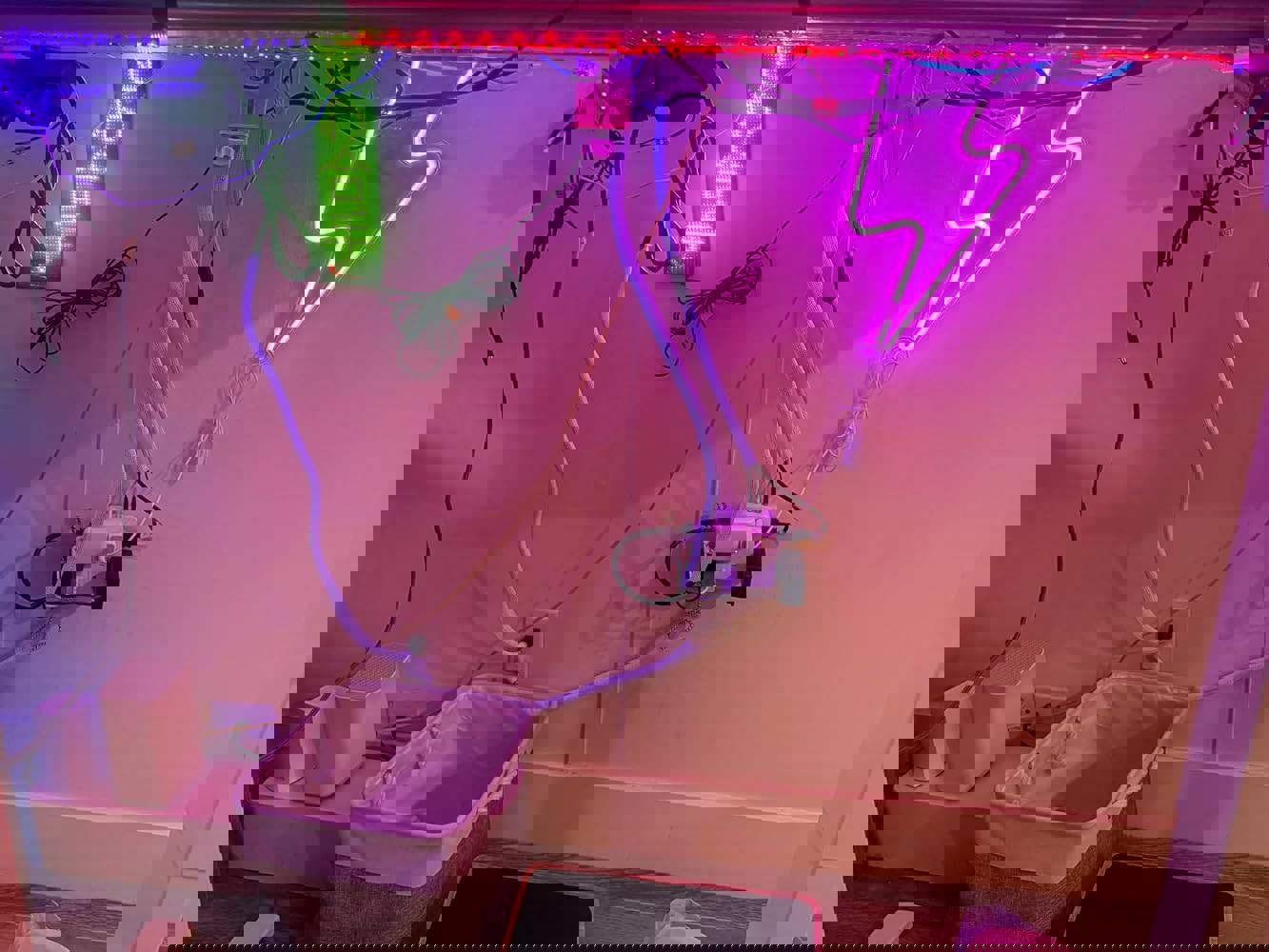2882047