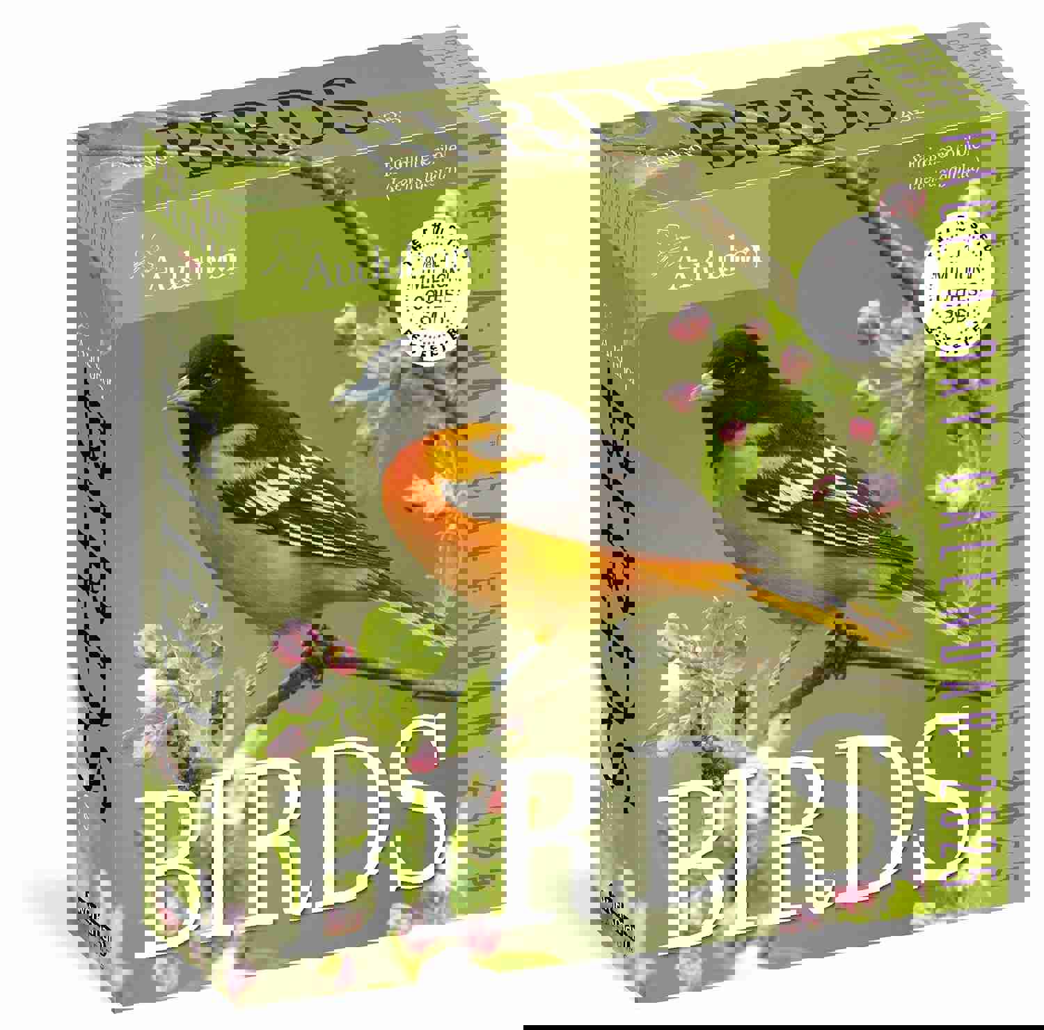 Audubon Birds Page-A-Day® Calendar 2025: The World's Favorite Bird Calendar
