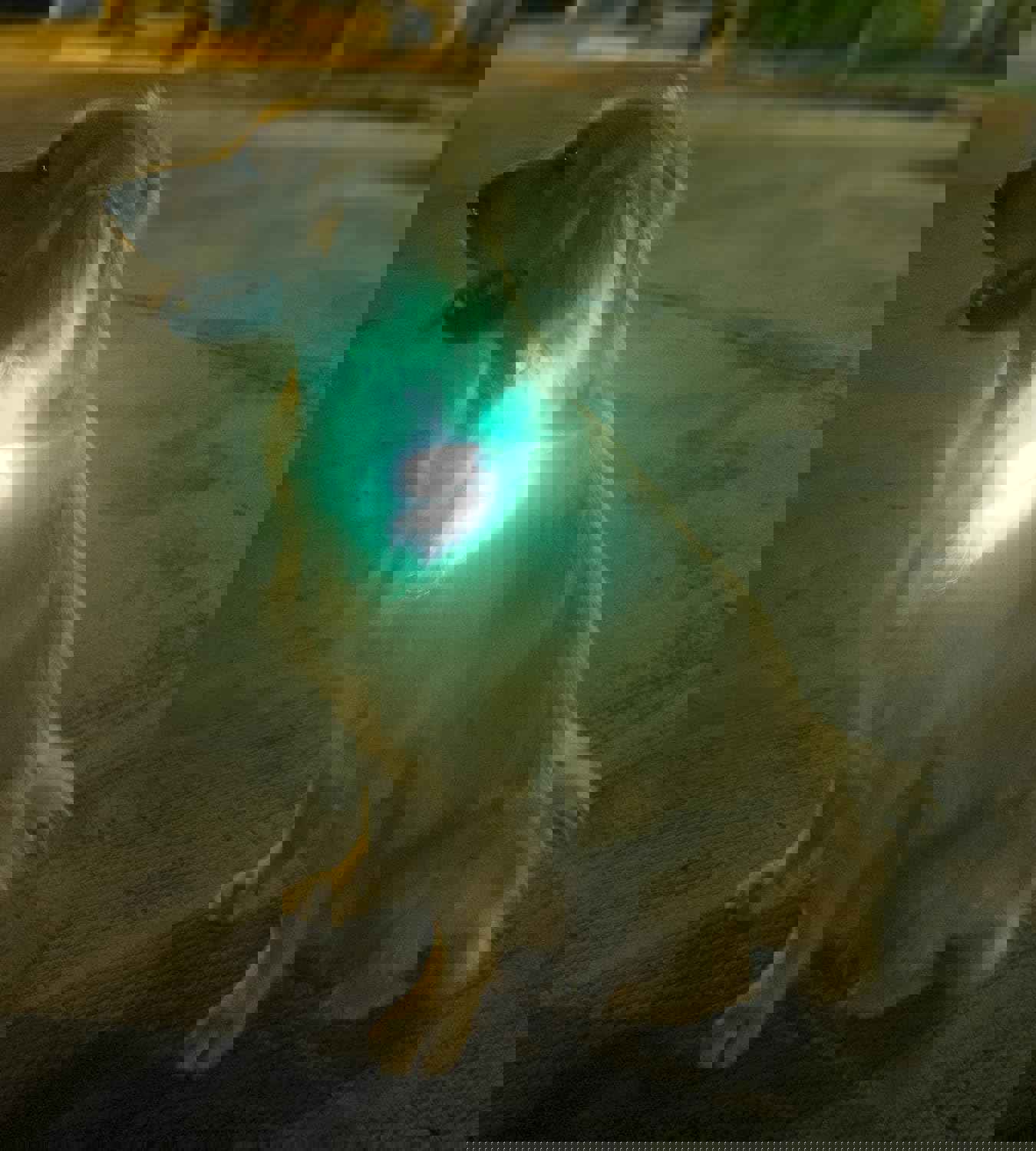 2881977