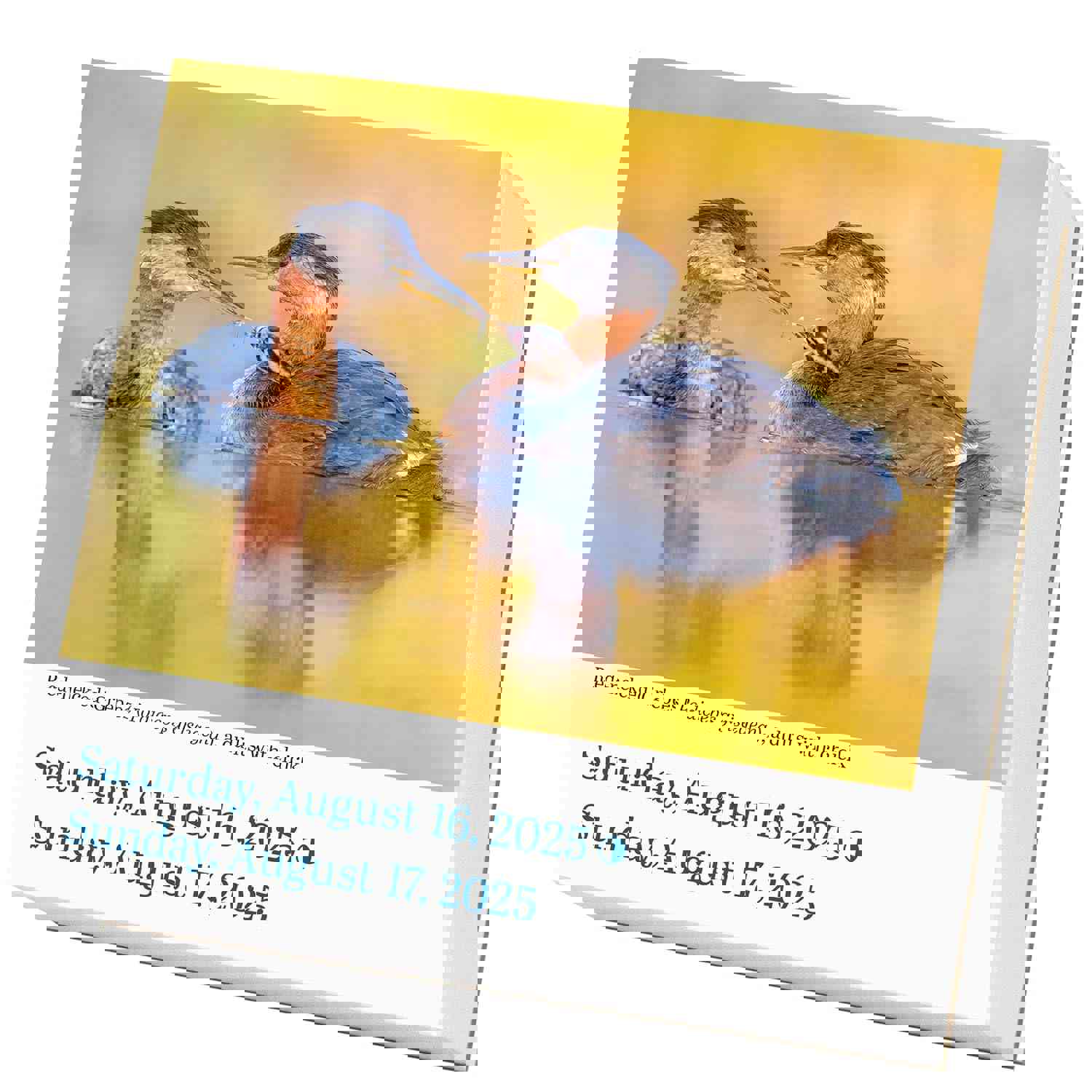 2882317