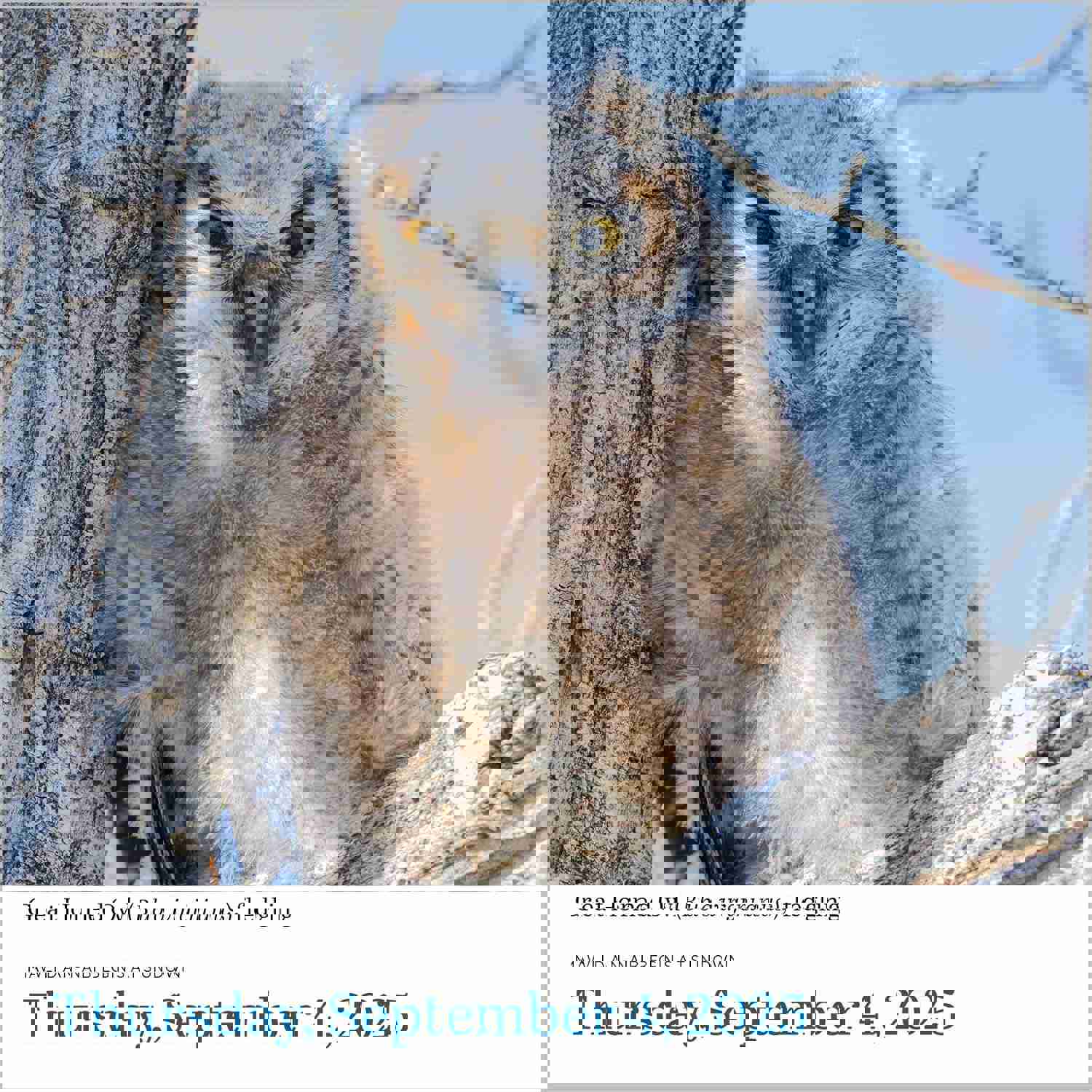 2882318