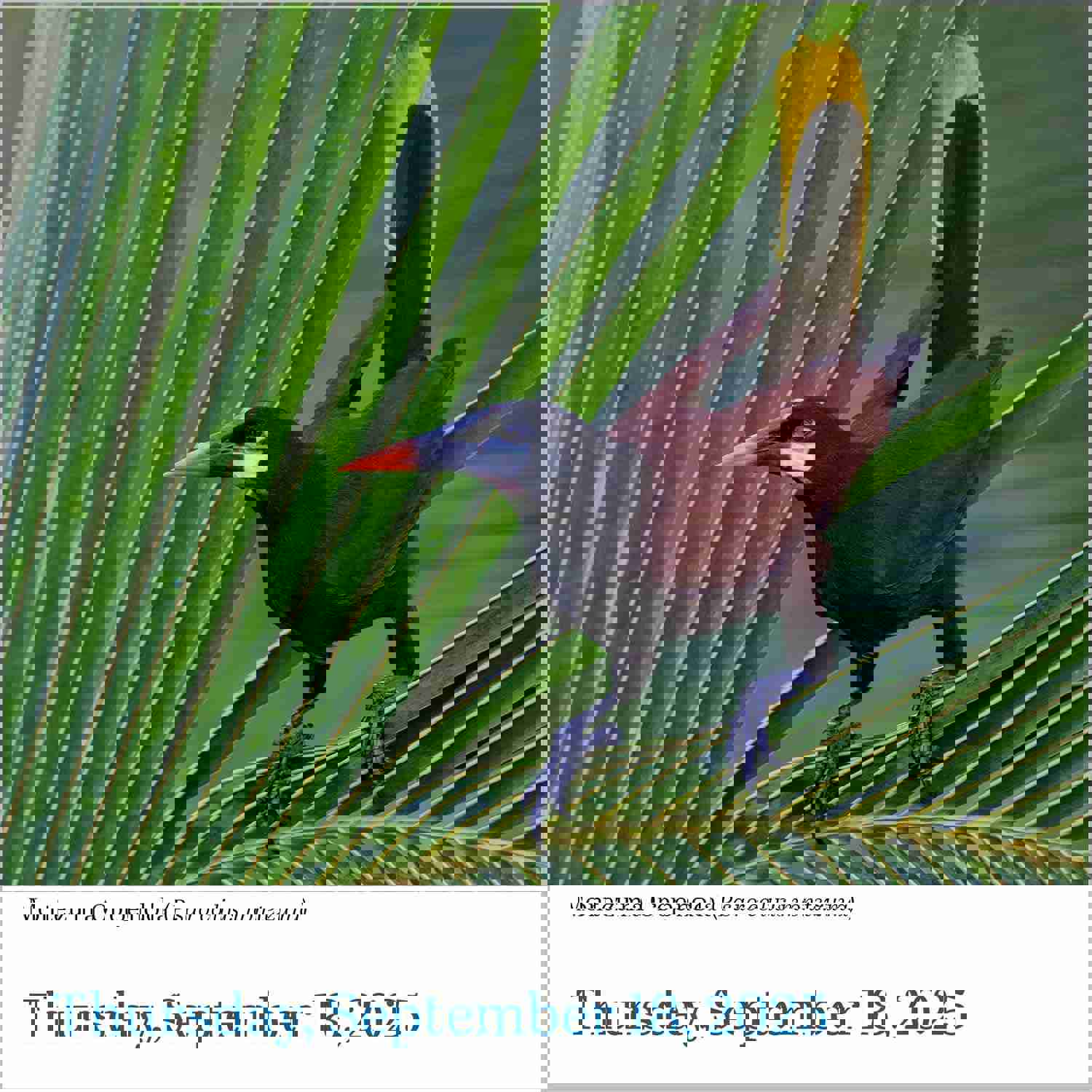 2882319