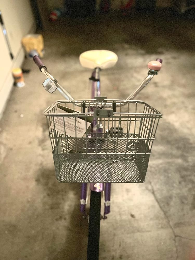 Retrospec Retrospec Apollo Bike Basket