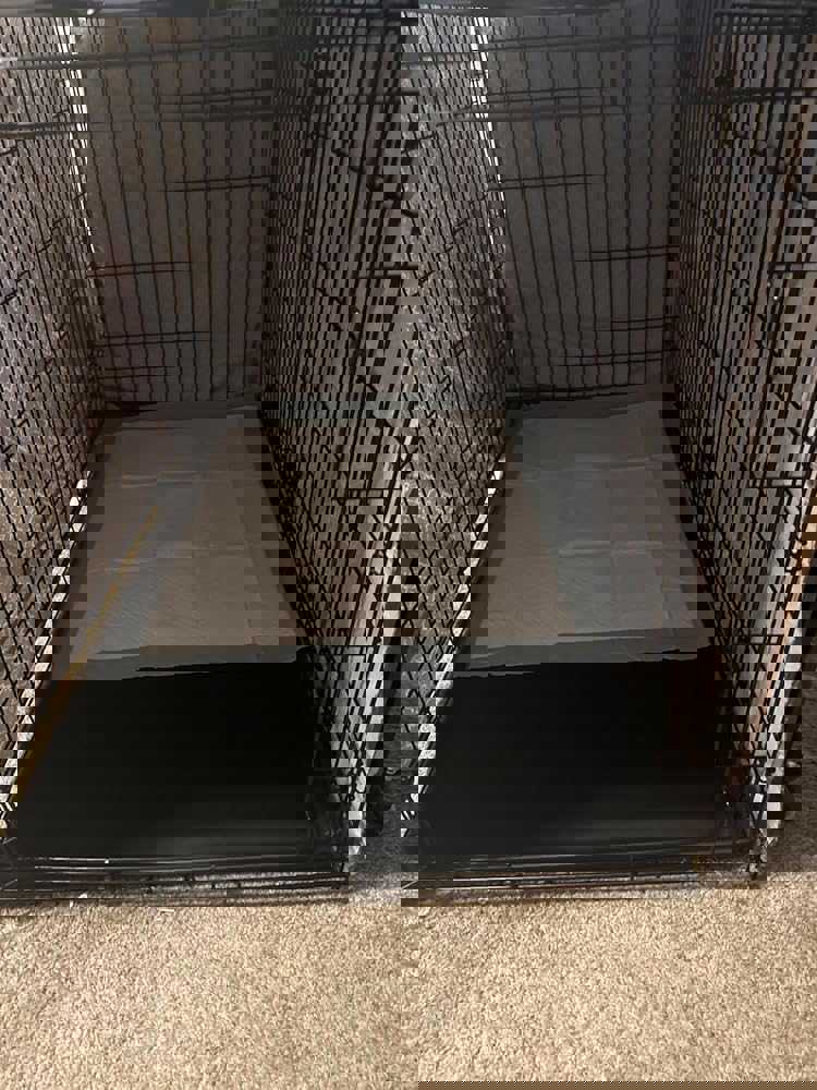 2882826