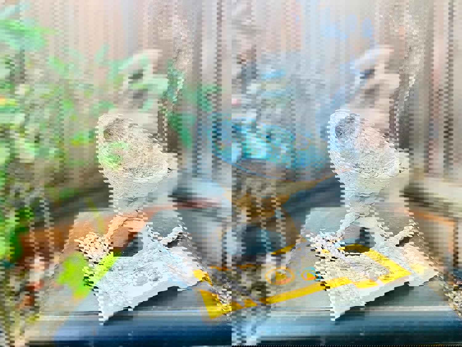 2882489
