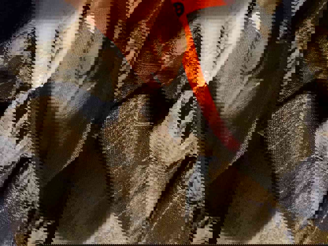 2882537