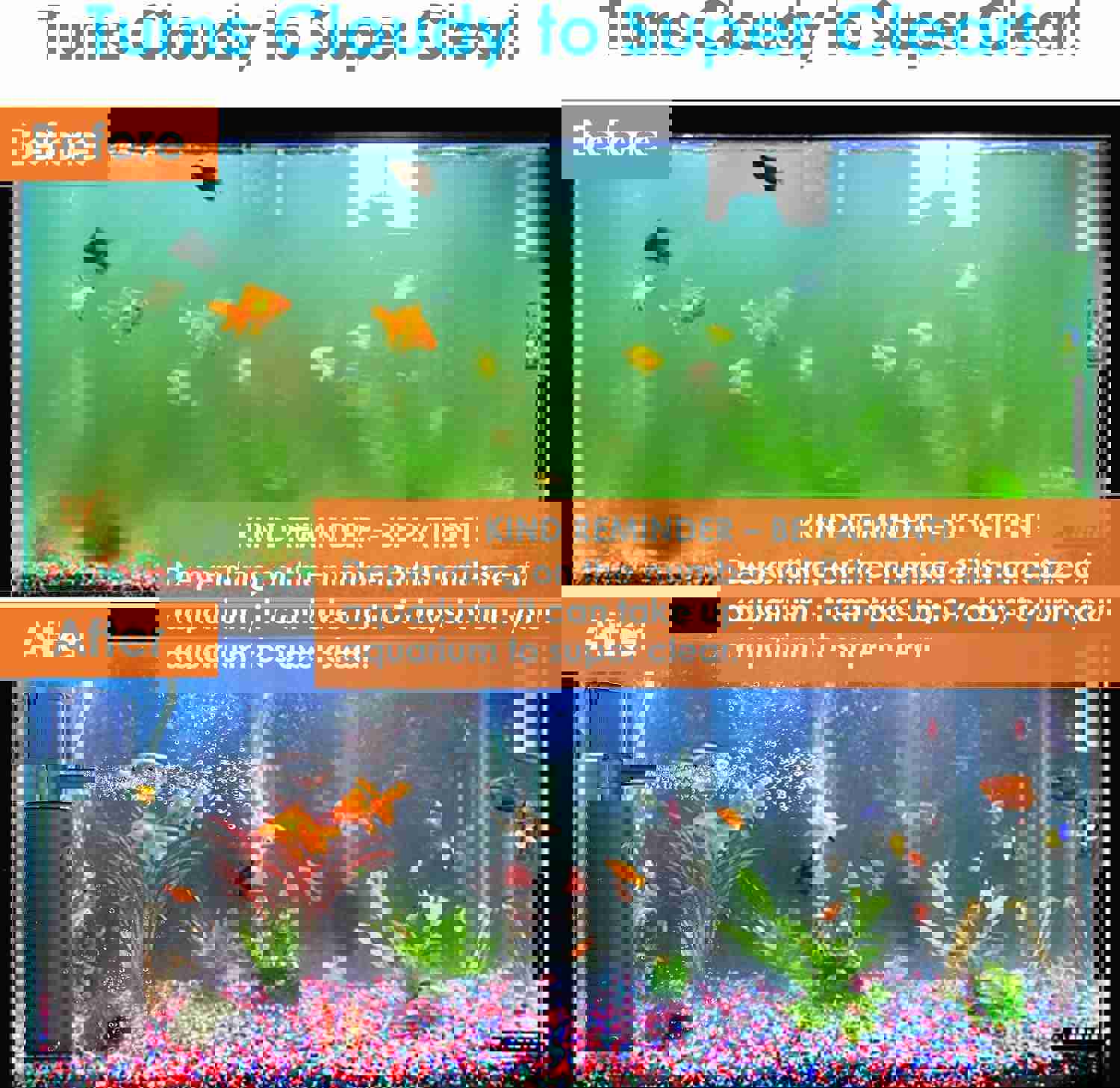 2882702