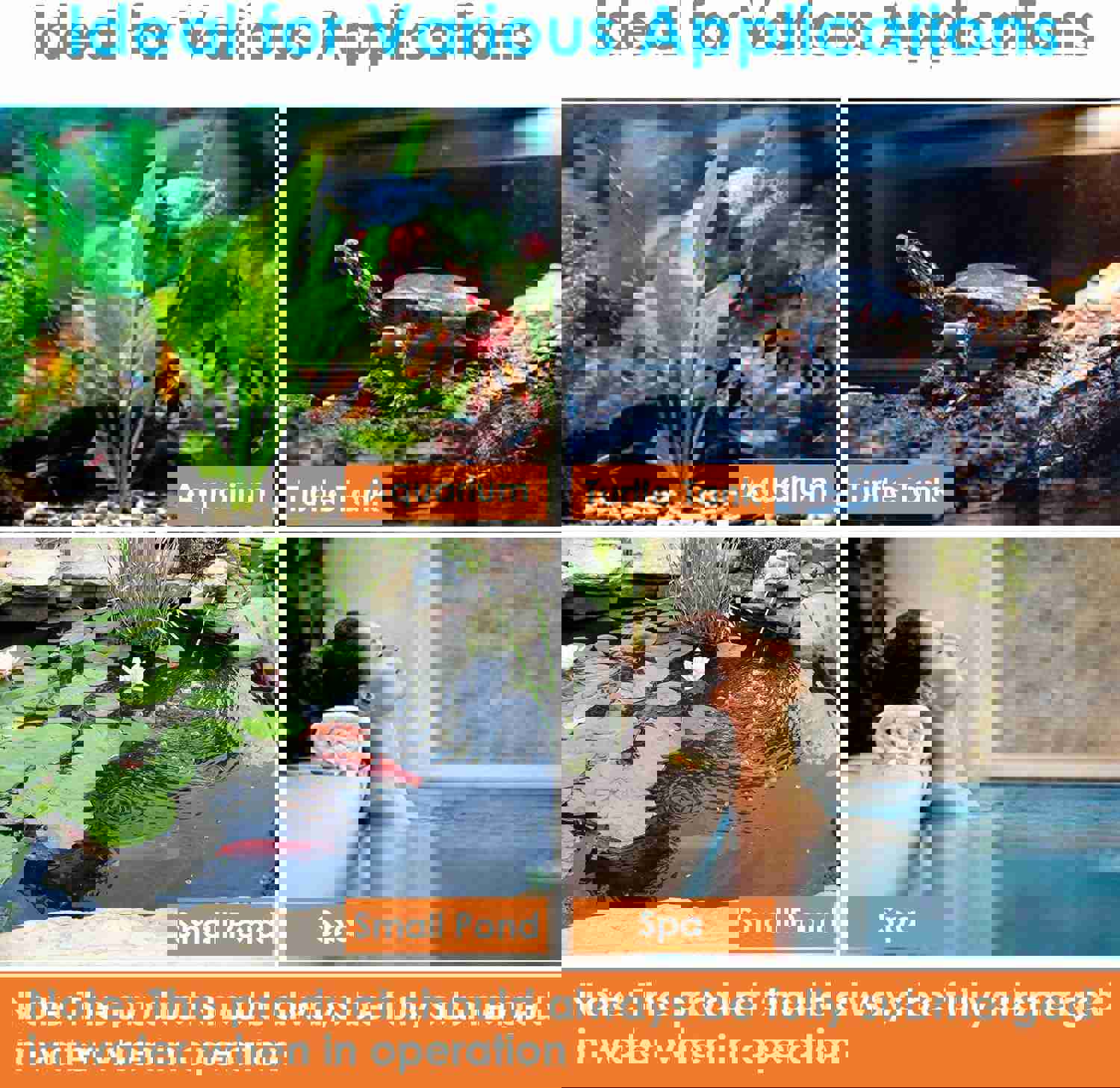2882706