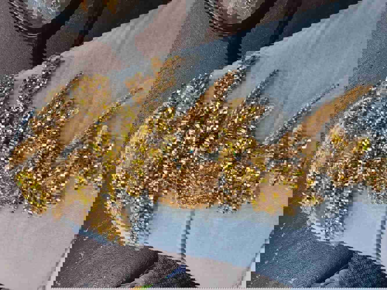 2883152