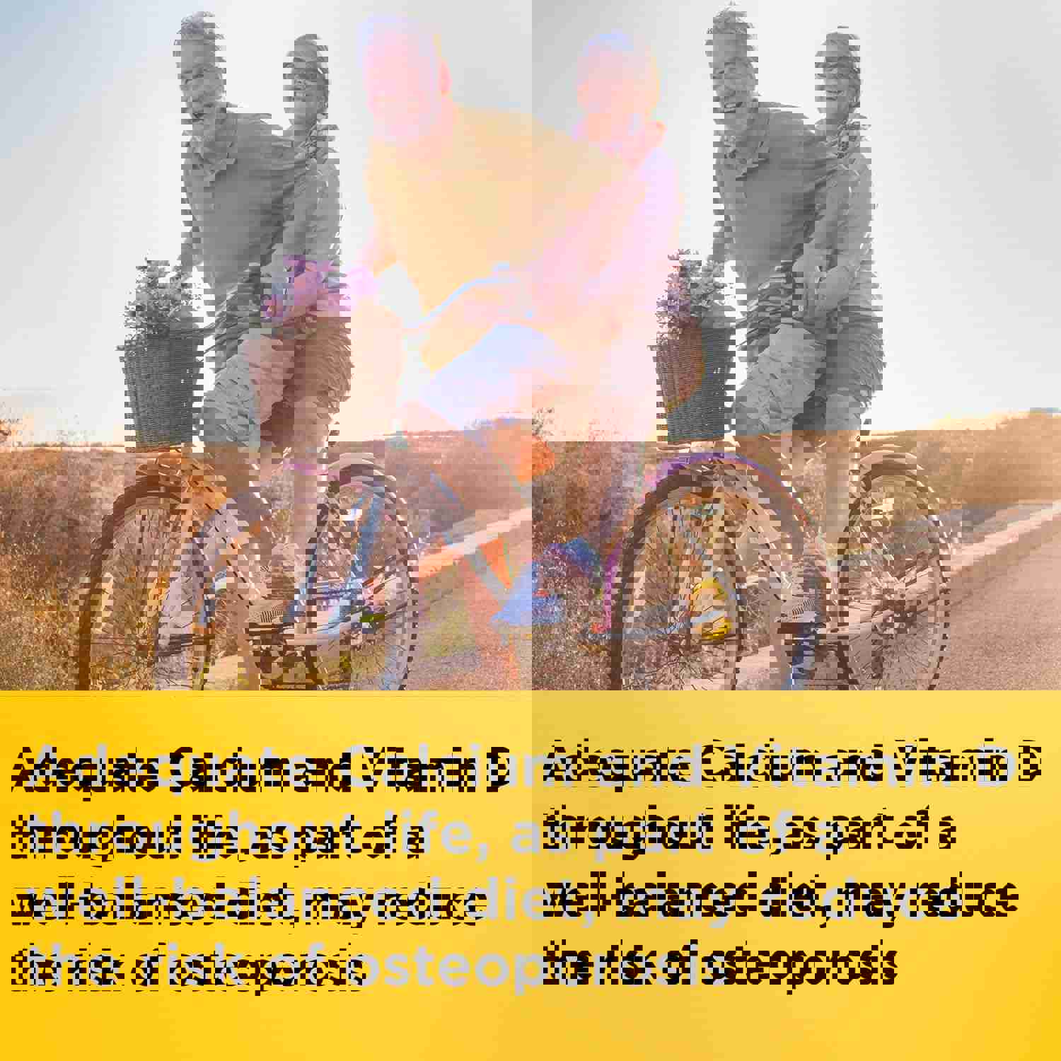 2883073