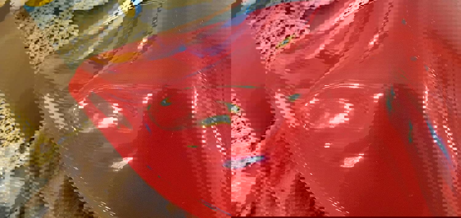 2883141