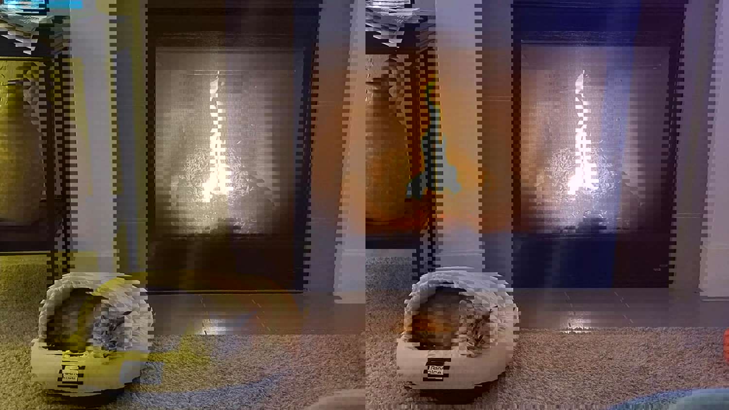 2883082