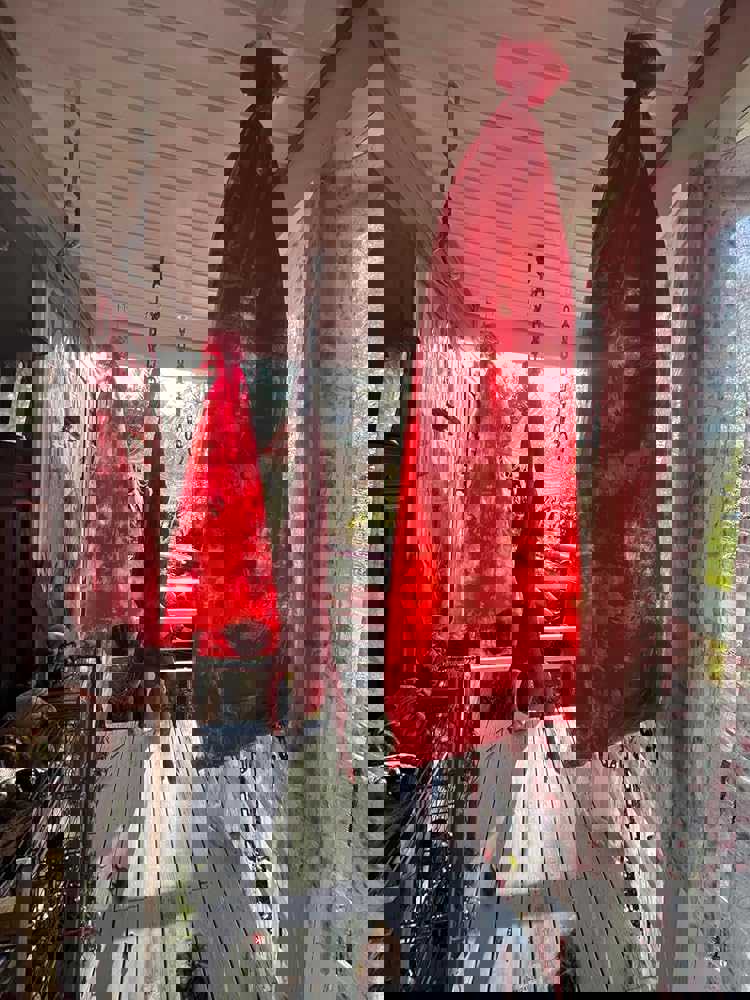 2884032