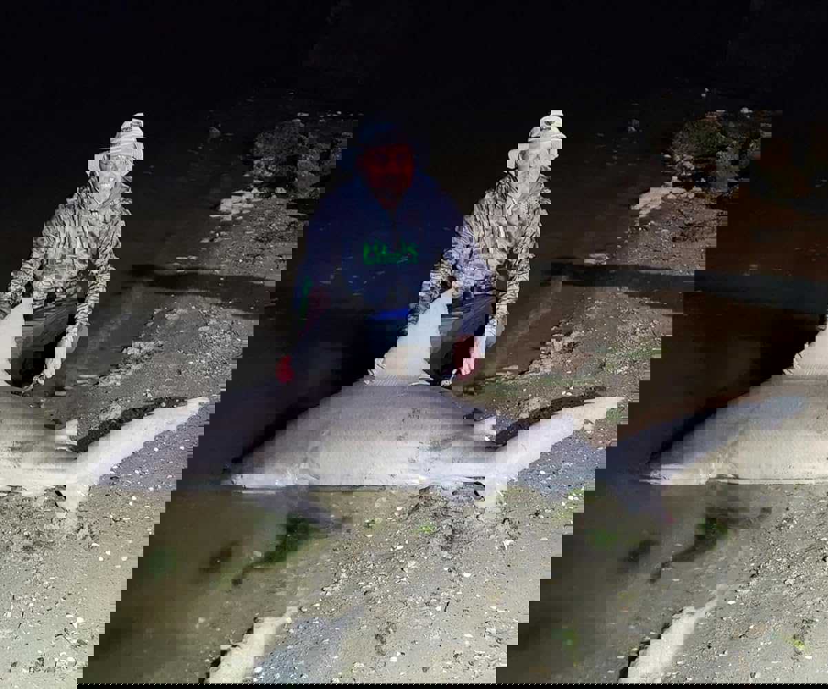 2884239