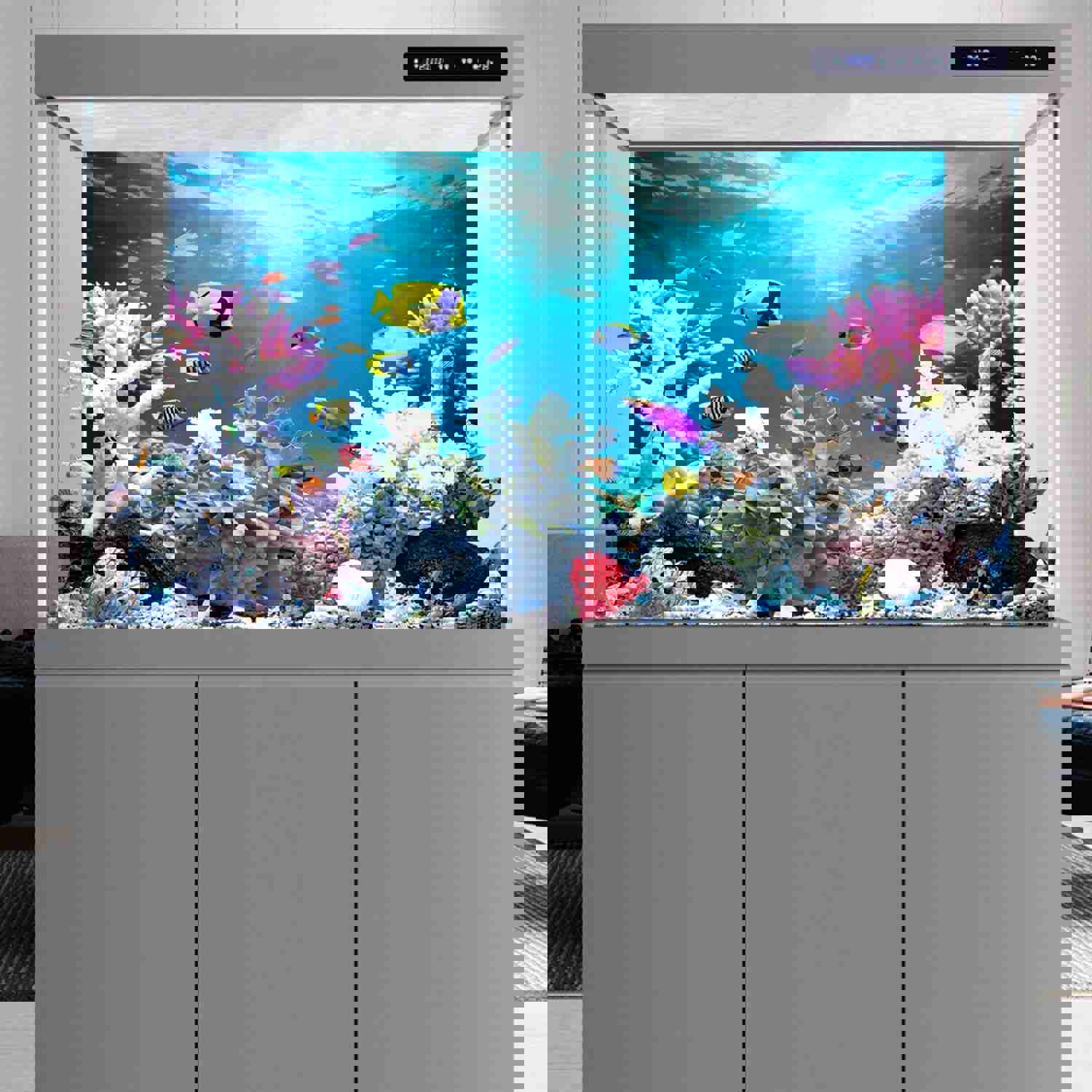 2883544