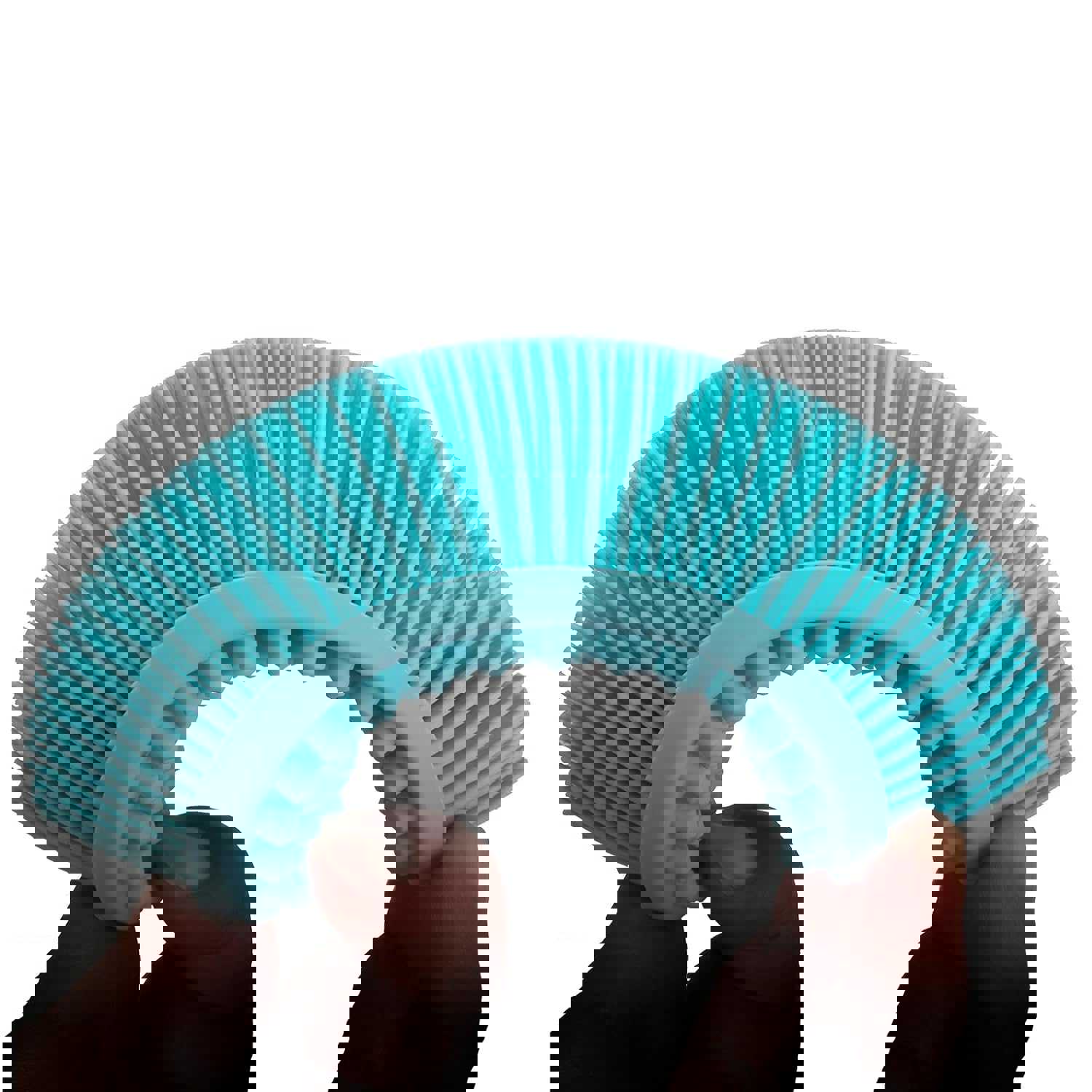 2884145