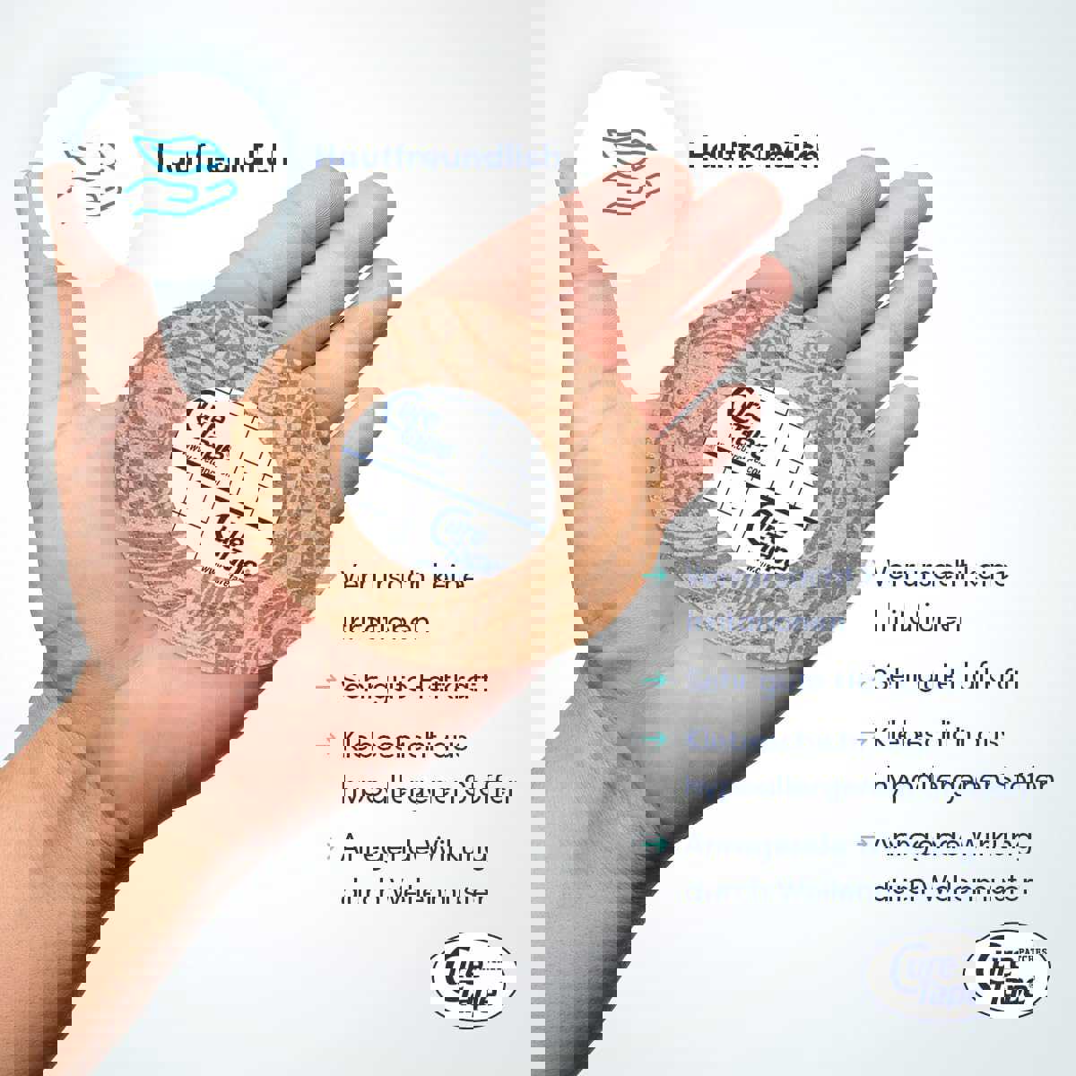 2884042