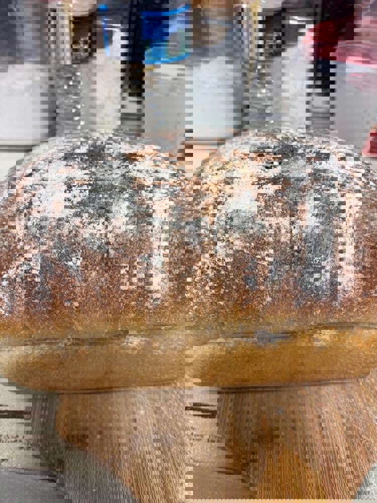 2884242