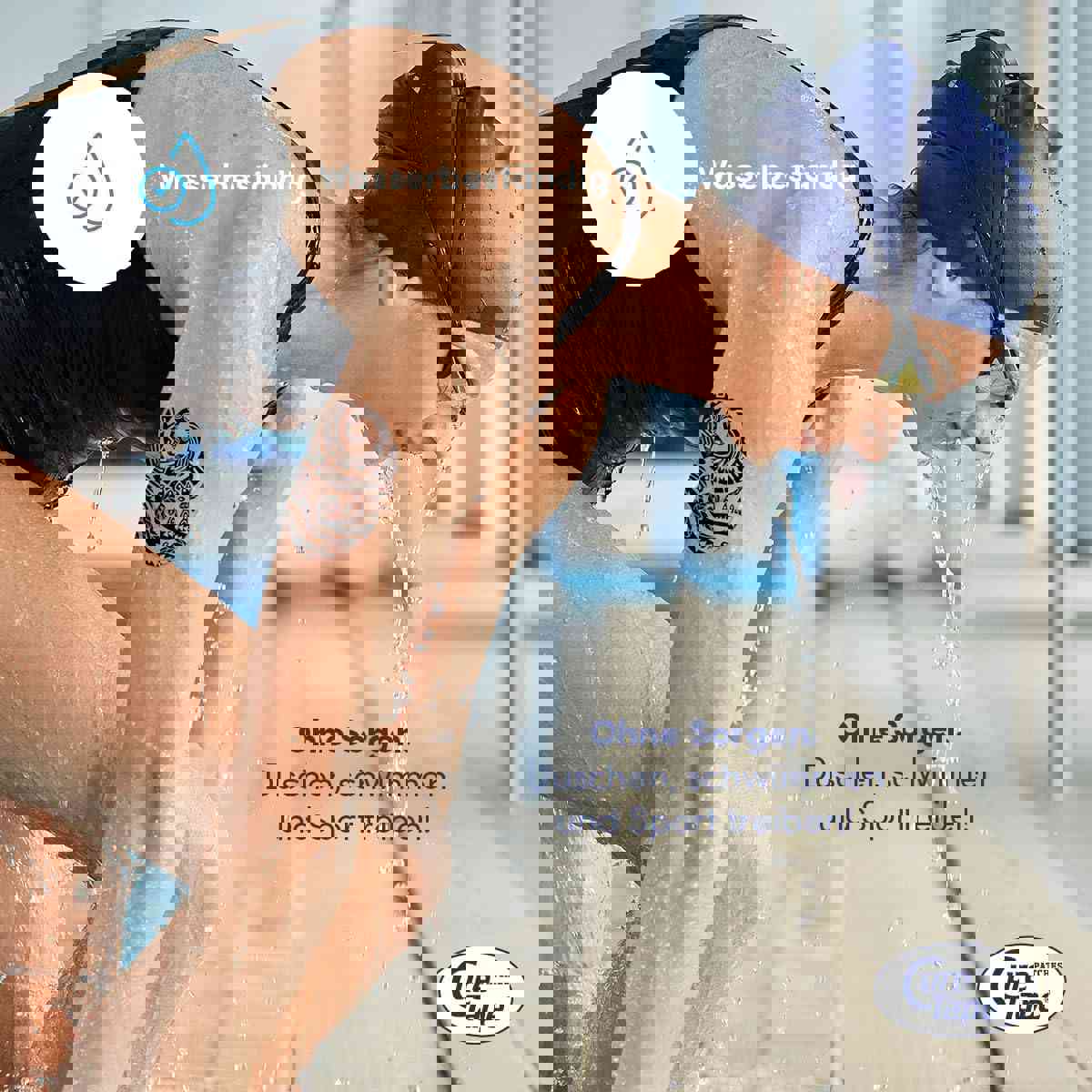 2884041