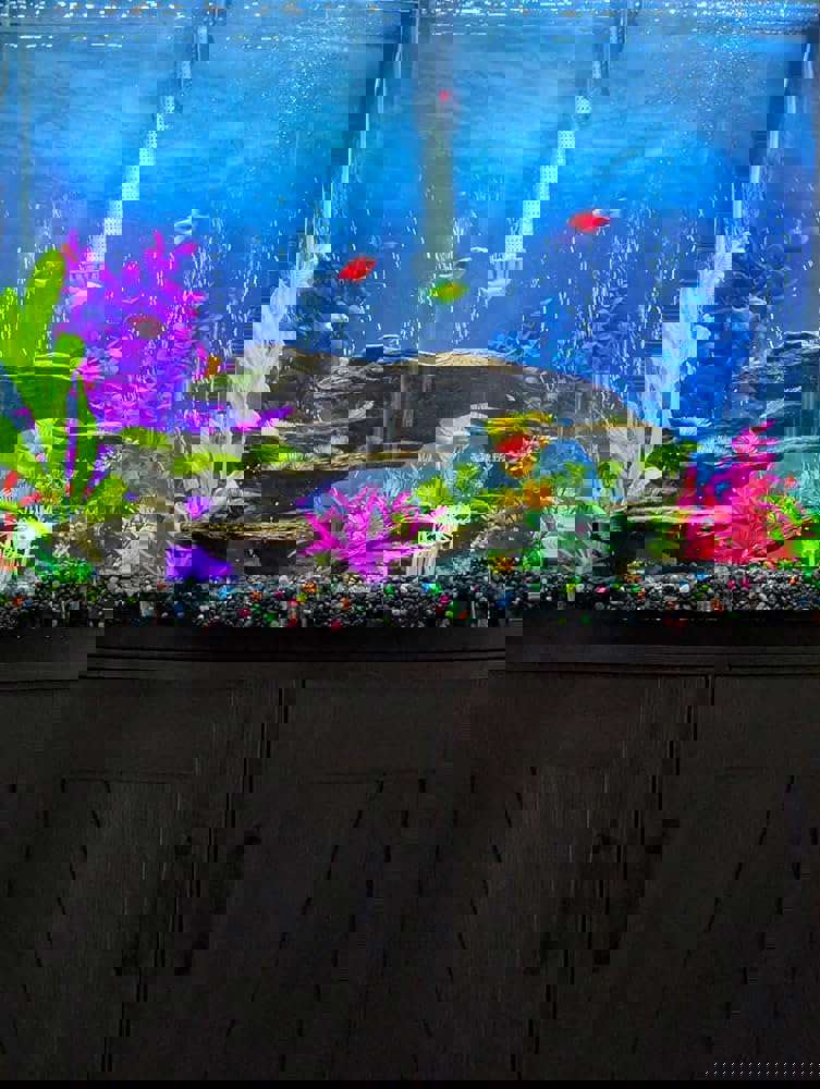 2897413
