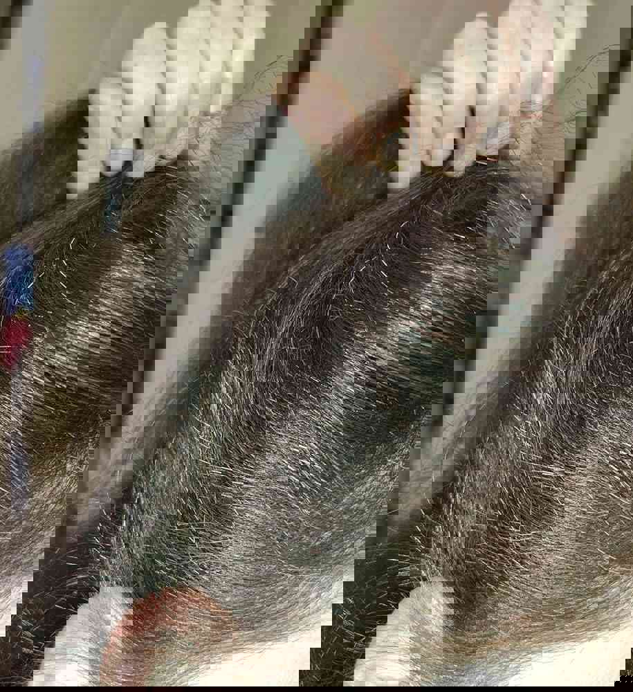2898153