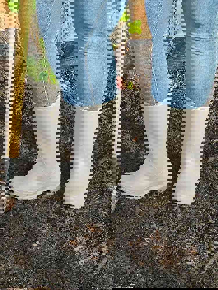 2921264