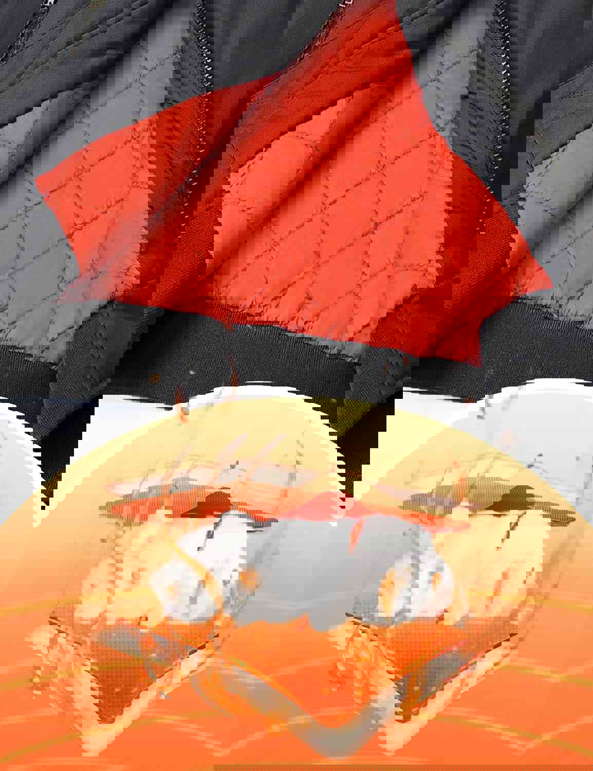 2921588