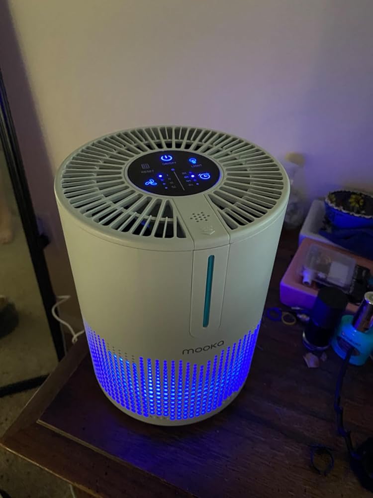 Air Purifiers for Bedroom Home 430 Sq.Ft, MOOKA H13 HEPA Filter Small Portable Air Purifier with USB Cable Fragrance Sponge for Smokers Pollen Pets Dust Odors, Desktop Air Cleaner for Car RV, M01