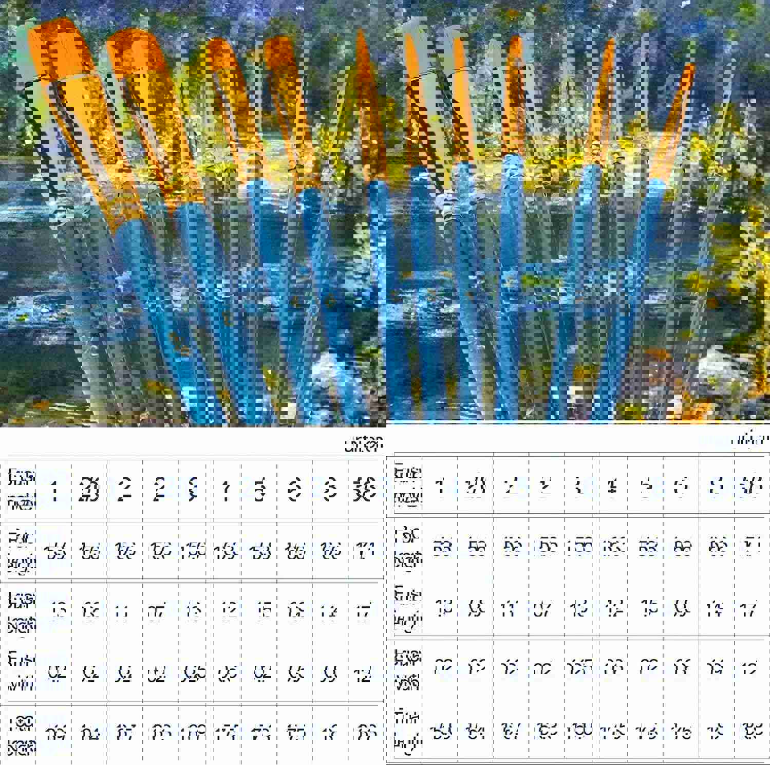 2921556