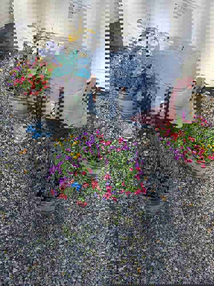 2922319