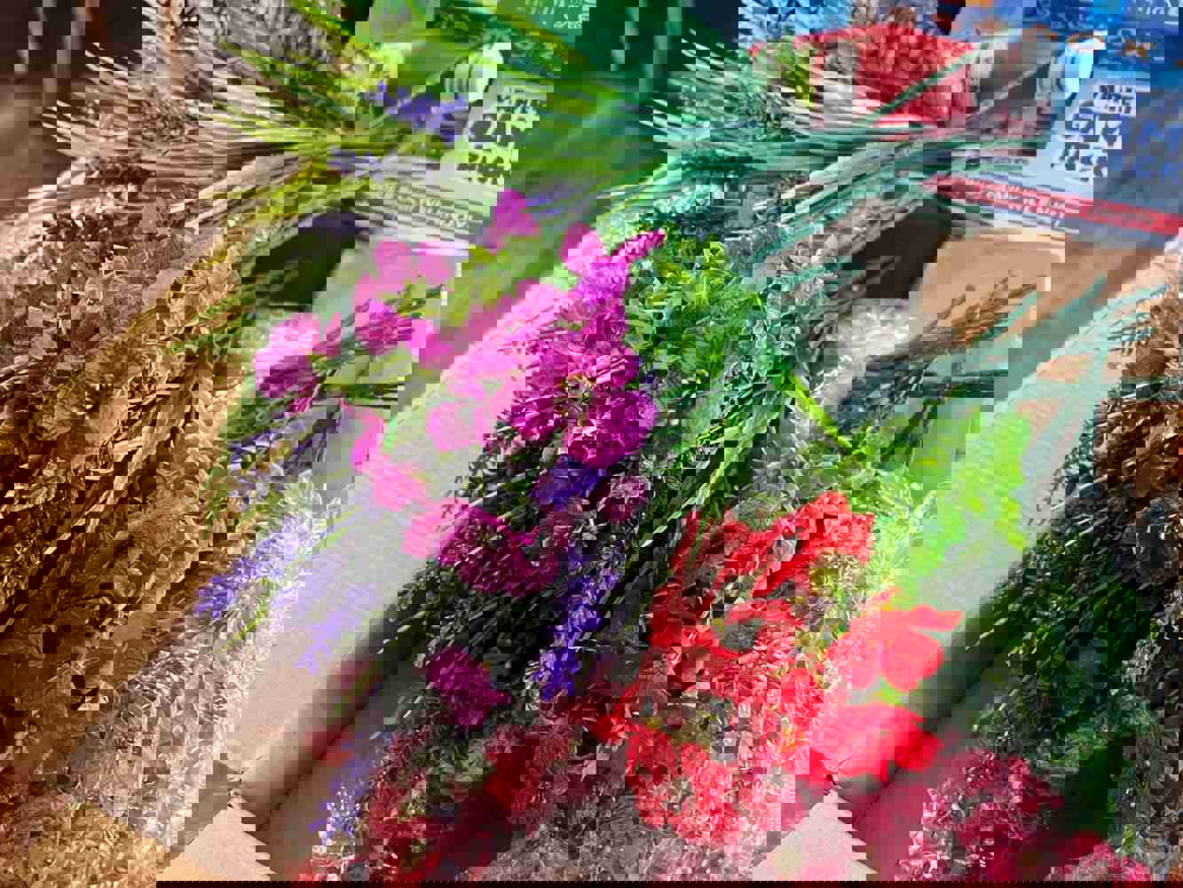 2922320