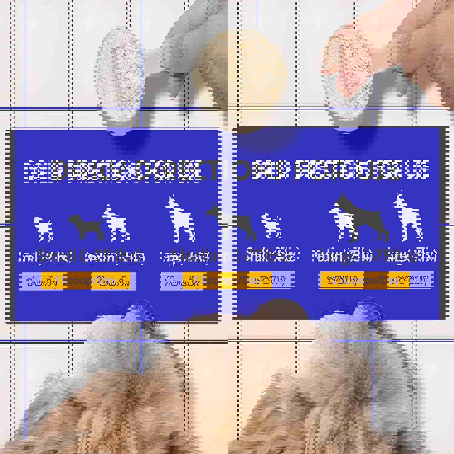 2980258