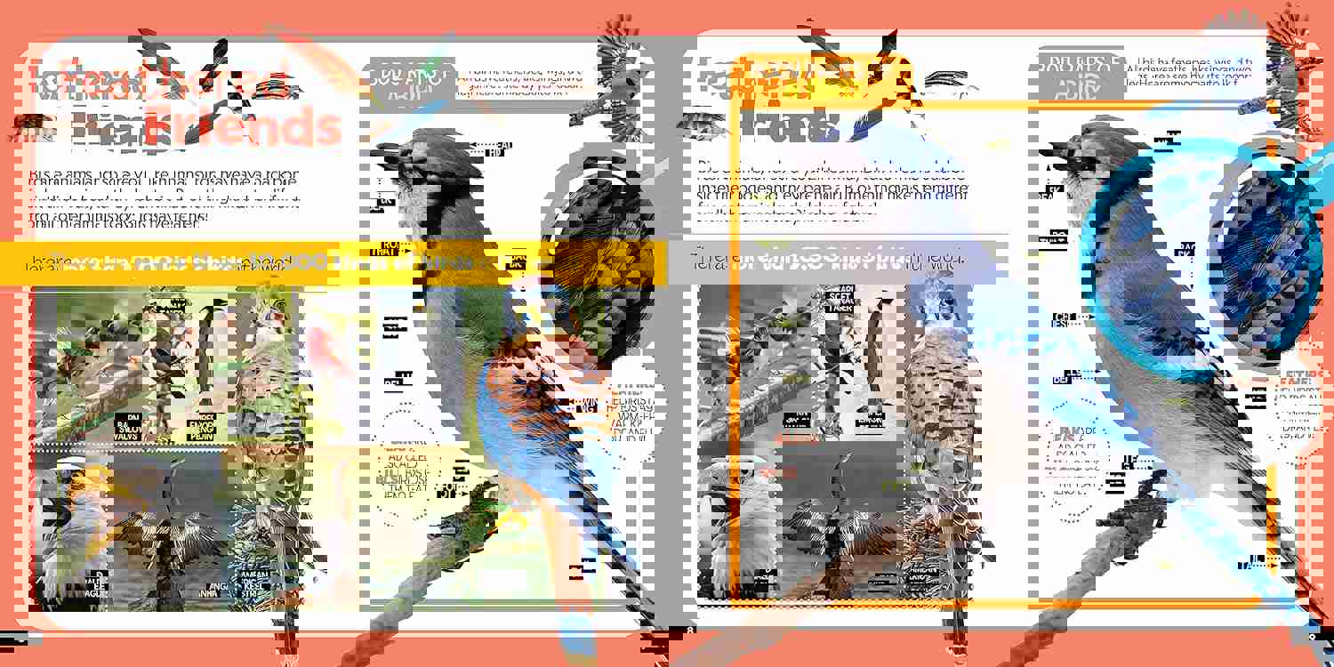 2980248