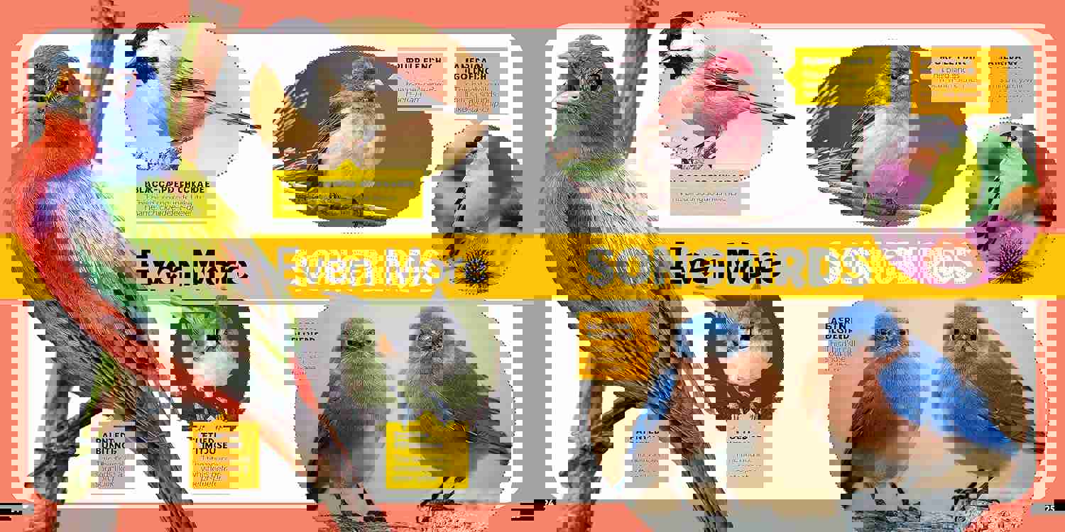 2980250
