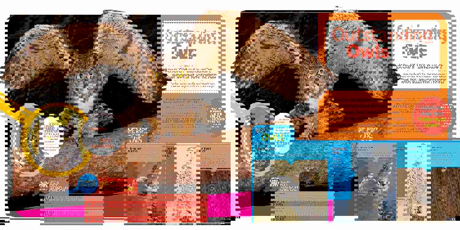 2980251