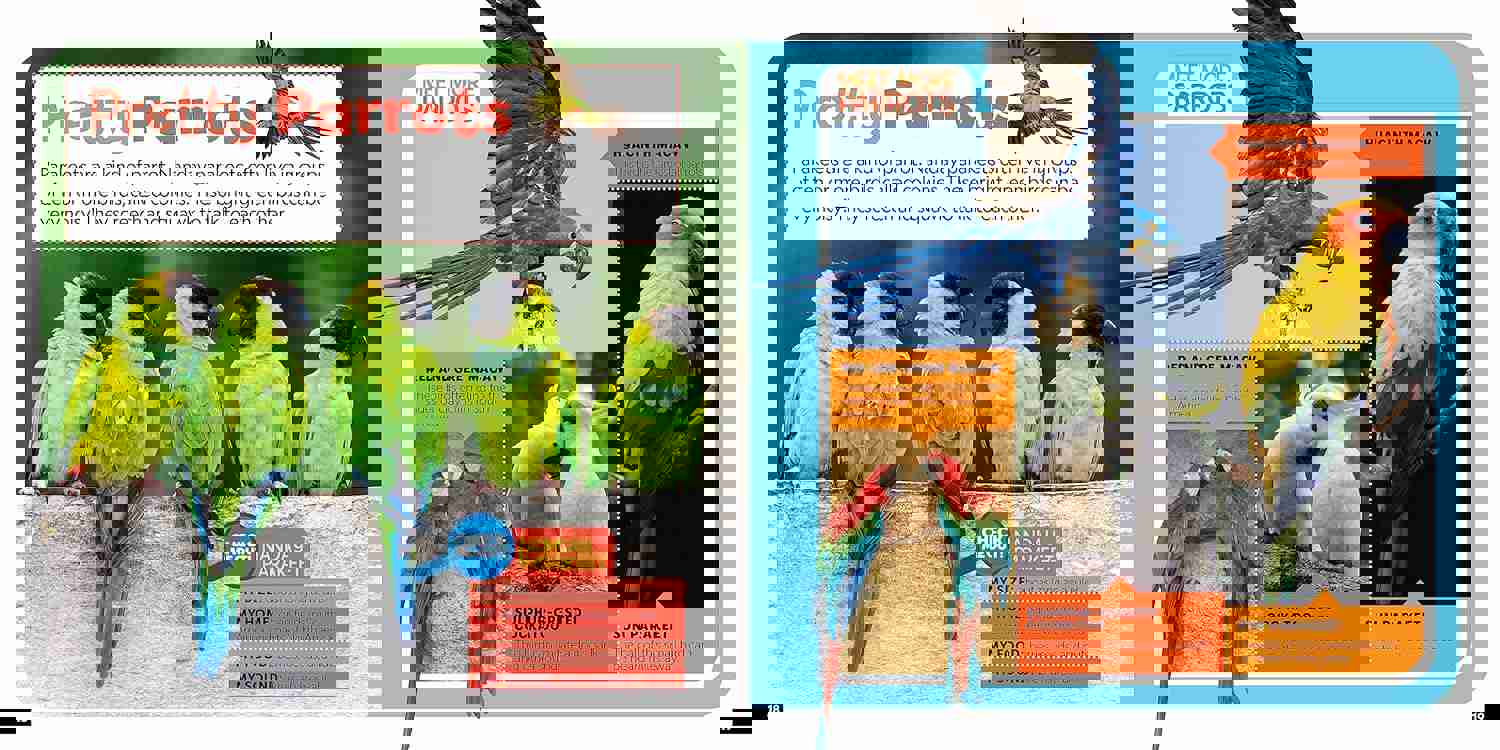 2980249