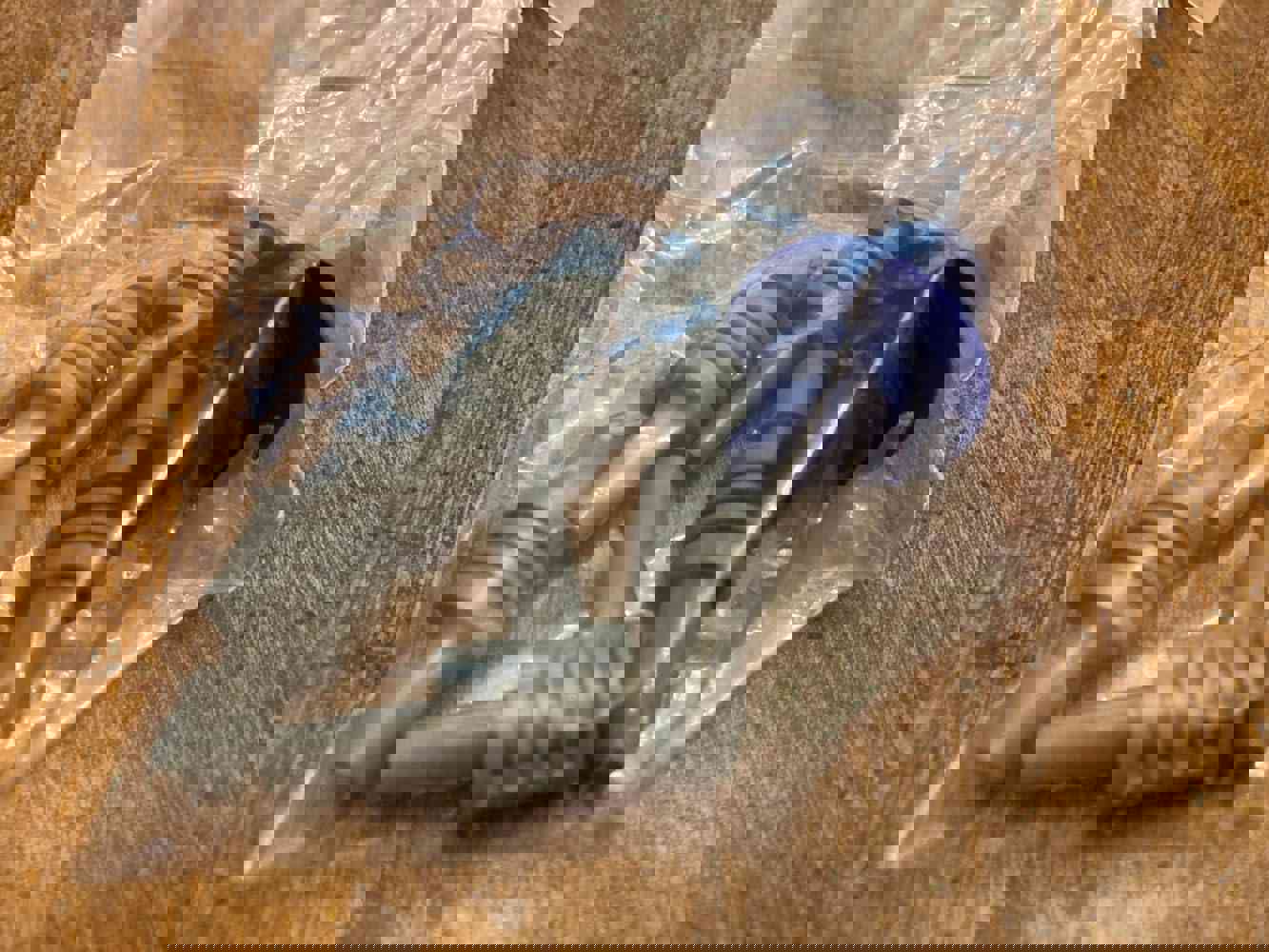 2981001