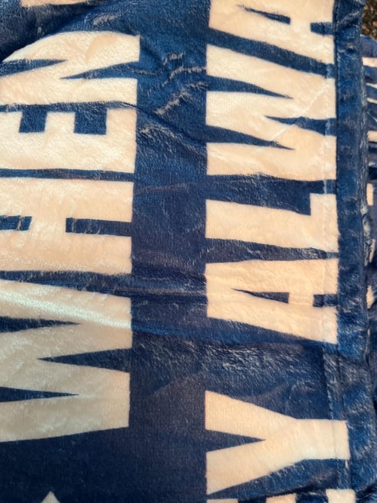 Huglanket Accountant Gifts, Accountant Accounting Blanket for Accounting, Women, Auditor, Coworkers, Blue Throw Blanket 50x65 Inche - Be Audit You Can Be